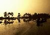 Kumarakom Pre-dawn Boating